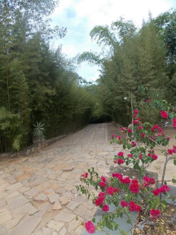 Pousada Bosque Do Lapao 렝소이스 외부 사진
