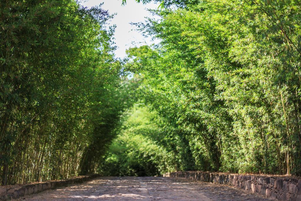 Pousada Bosque Do Lapao 렝소이스 외부 사진